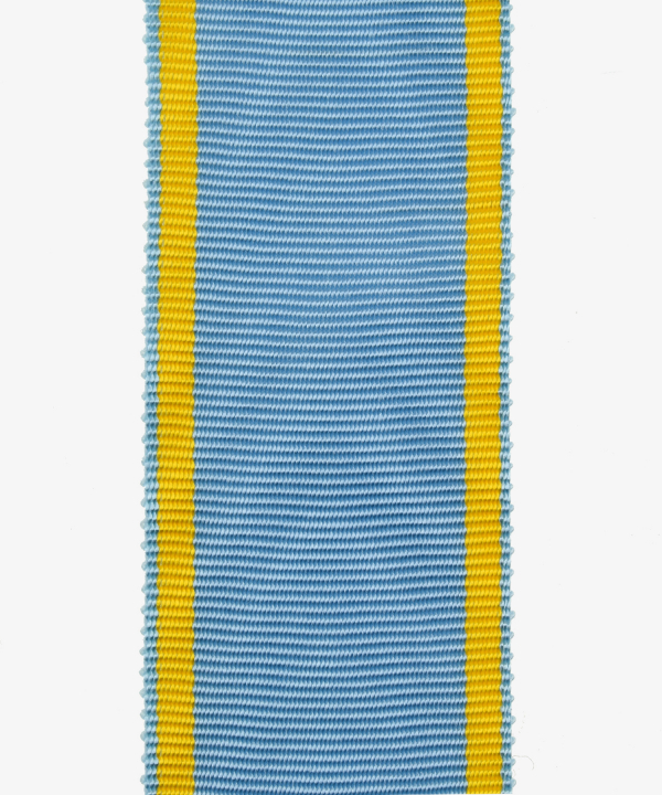 Nassau, Service Medal for NCOs and Soldiers after 10 years of service (81)